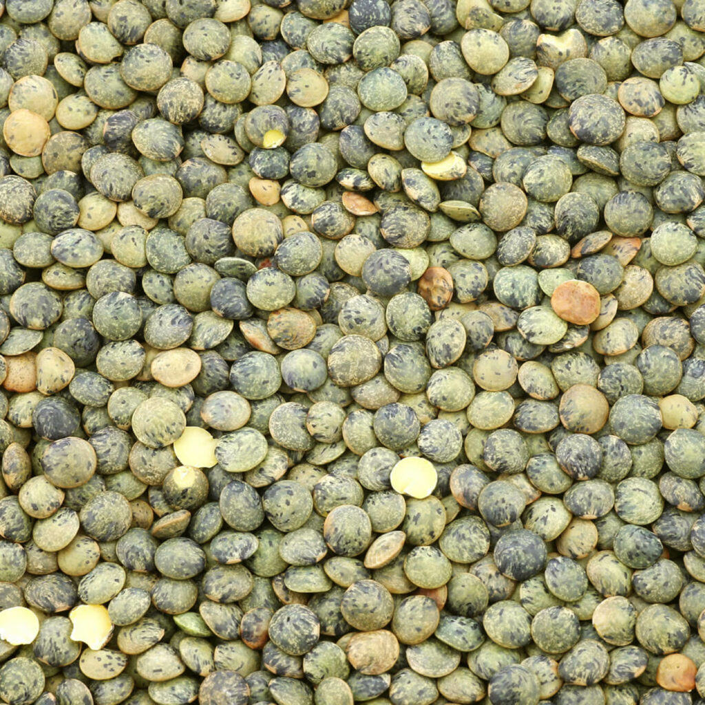lentilles